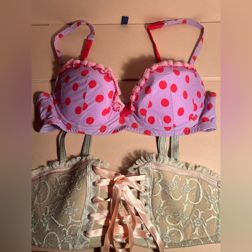 Luxury Brand  Chantelle Thomas Bras Size 34 C